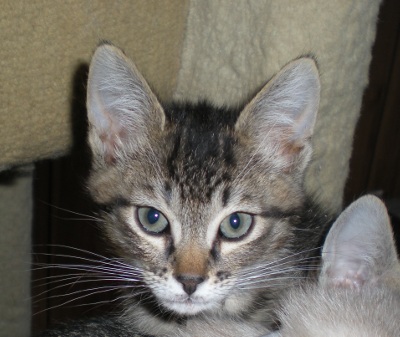 Click for full size picture - Dexter