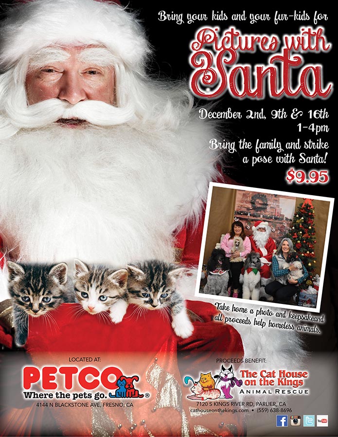 The Cat House on the Kings