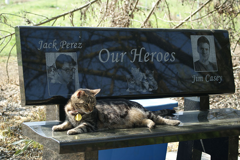 Heroes Bench - Click to enlarge