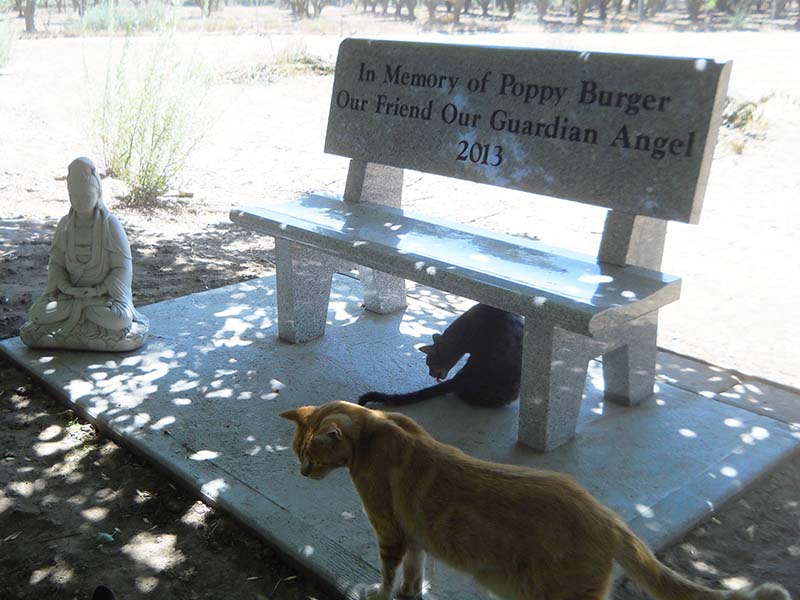 Poppy Burger Memorial Bench - Click to enlarge Poppy Burger Memorial Bench - Click to enlarge