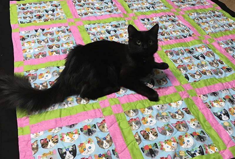 Kitten Quilt - Click to enlarge Kitten Quilt - Click to enlarge