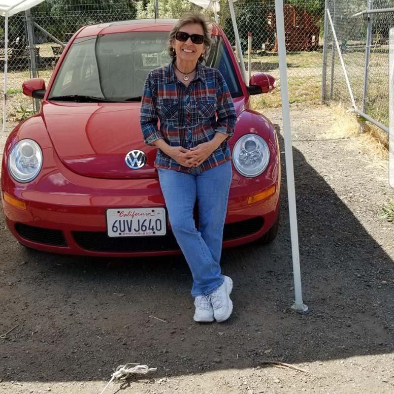 Red VW Bug - Click to enlarge Red VW Bug - Click to enlarge