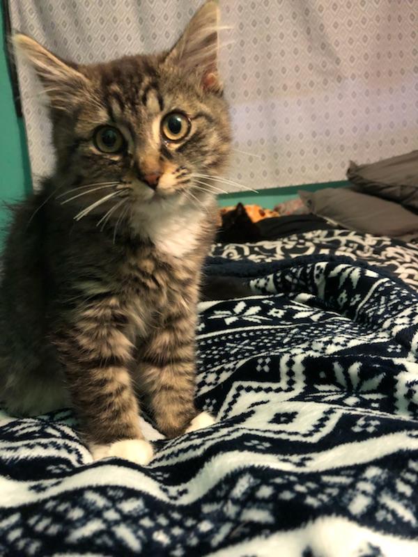 Click for full size picture - Mitzy