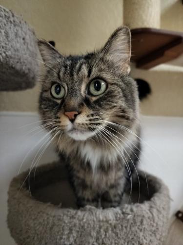 Click for full size picture - Mitzy