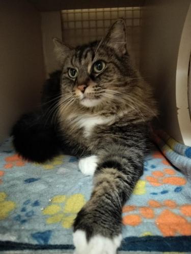 Click for full size picture - Mitzy