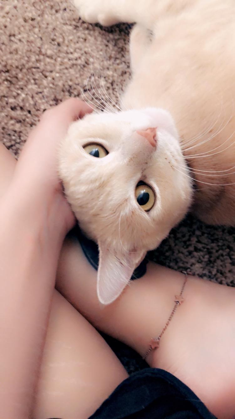 Click for full size picture - Sarabi
