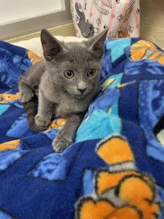 Click for full size picture - Elsa