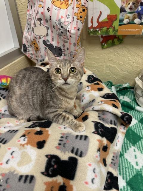 Click for full size picture - Cinder