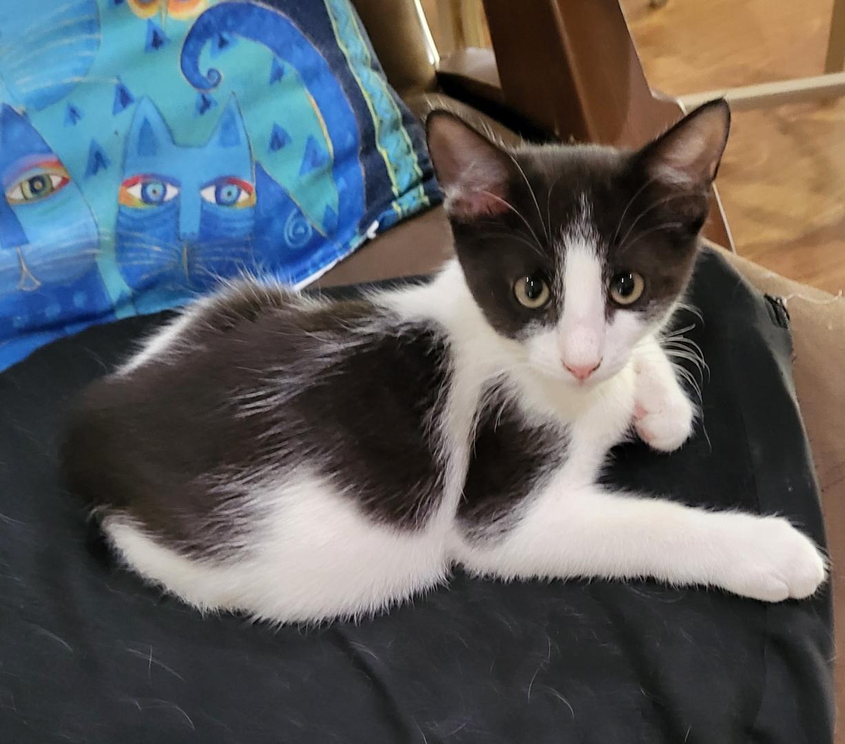 Click for full size picture - Benji