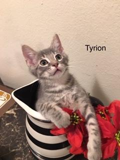 Tyrion Tyrion