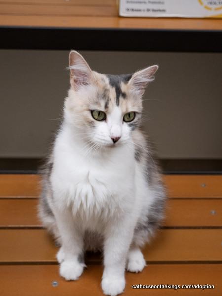 Click for full size picture - Delilah