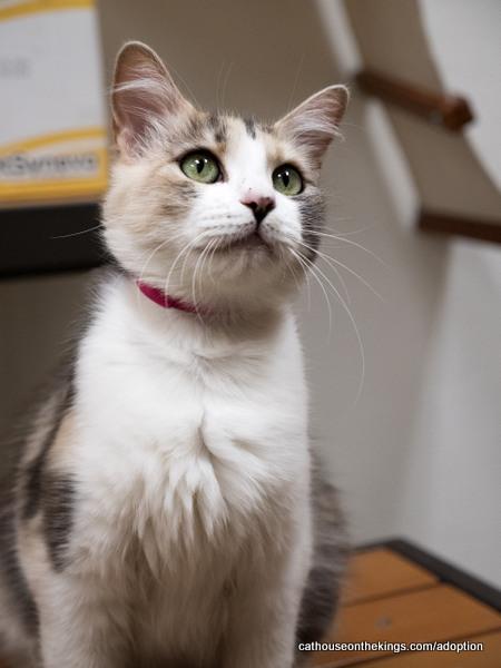 Delilah