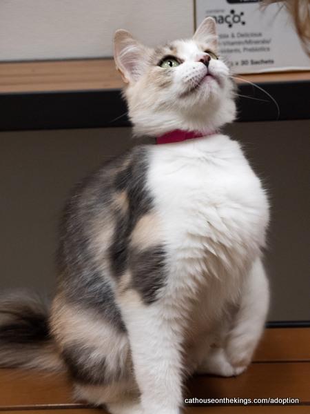 Click for full size picture - Delilah