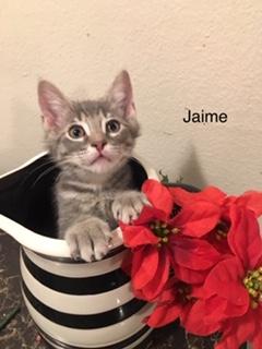 Jamie Jamie