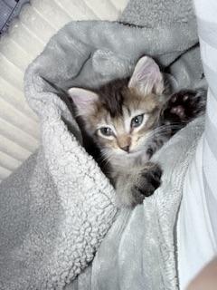 Click for full size picture - Timmy
