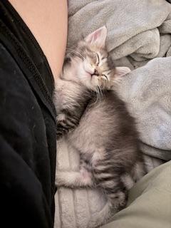 Click for full size picture - Timmy