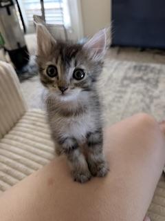 Click for full size picture - Timmy