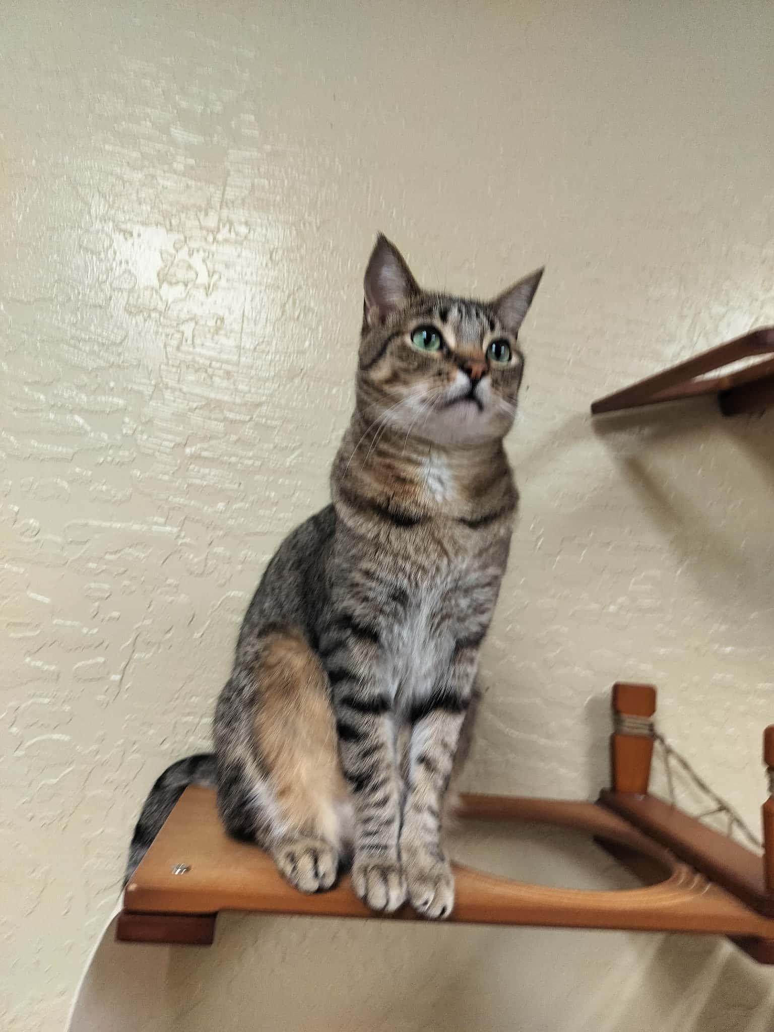 Click for full size picture - Harvey