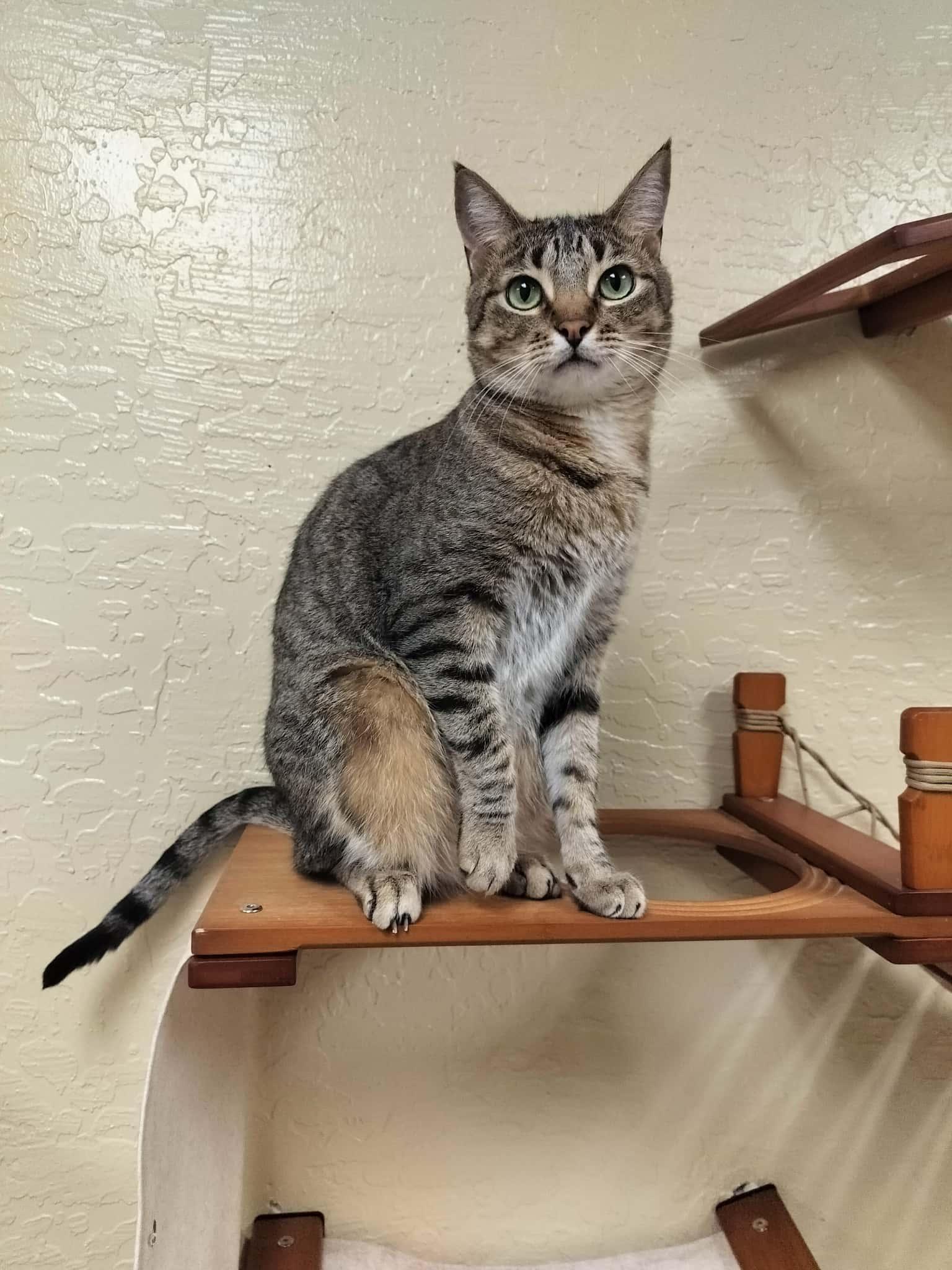 Click for full size picture - Harvey