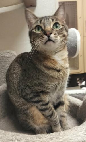 Click for full size picture - Harvey