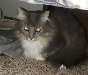 Ms.Mimi Ms.Mimi