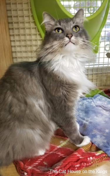 Mimi Mimi