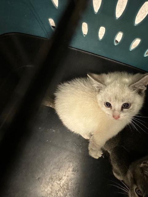 Click for full size picture - Alexandria