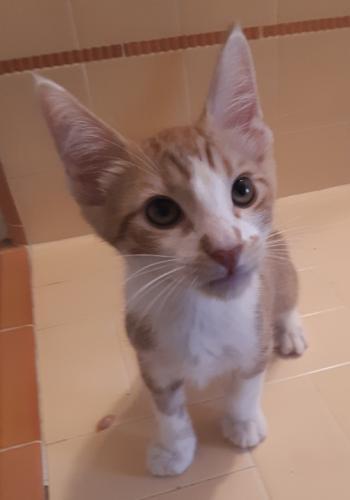 Jasper Jasper