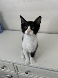 LuLu LuLu