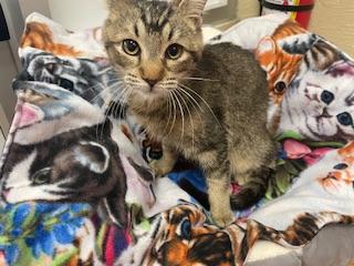 Click for full size picture - Denny