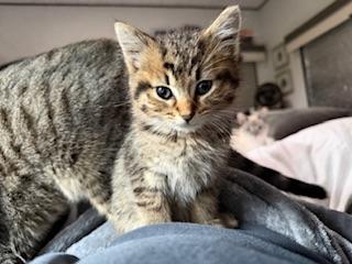 Click for full size picture - Butterfinger