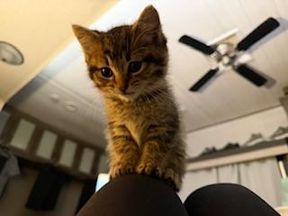 Click for full size picture - Butterfinger