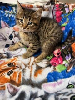 Click for full size picture - Reeces