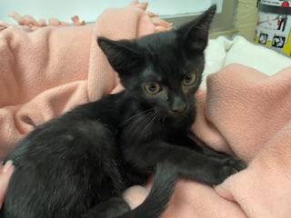 Click for full size picture - Jackson