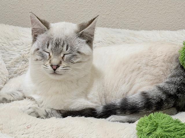 Click for full size picture - Arthur