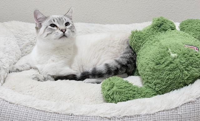 Click for full size picture - Arthur