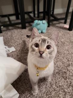 Click for full size picture - Arthur