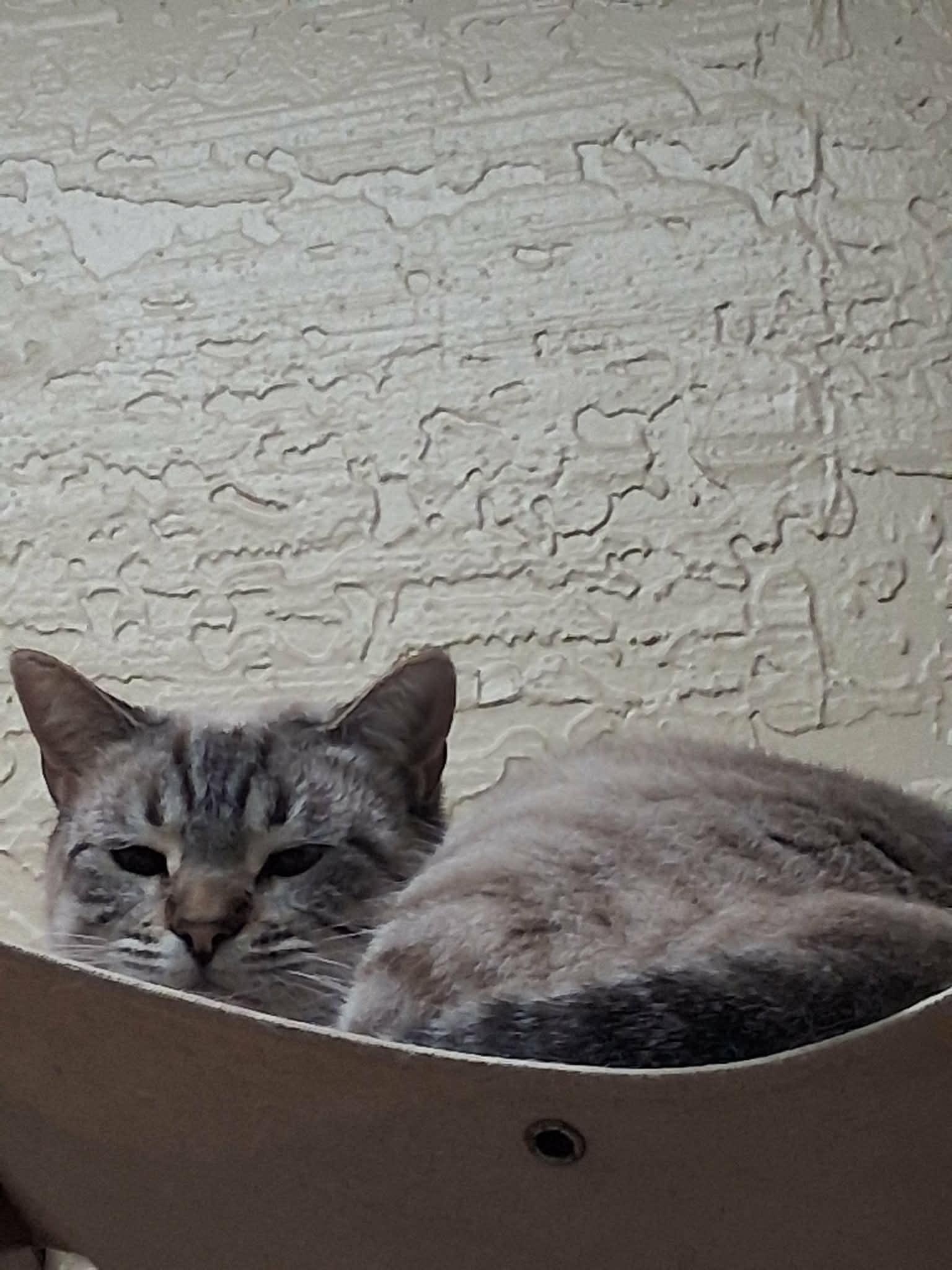 Click for full size picture - Astrid