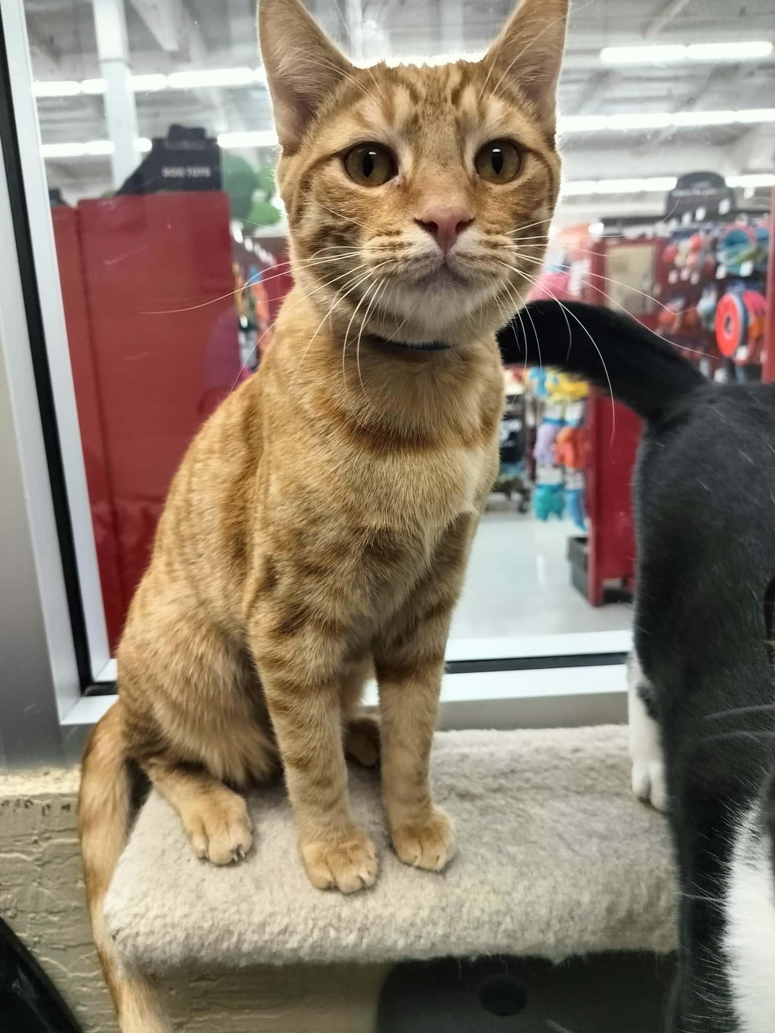 Click for full size picture - Andy