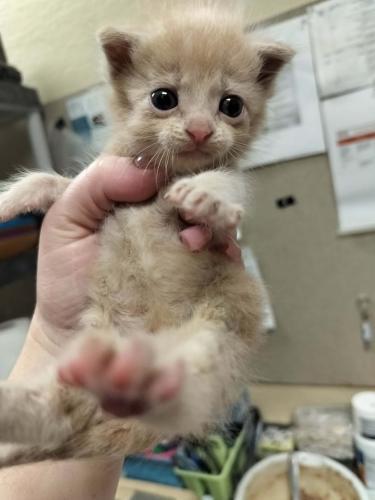 Click for full size picture - Arnold