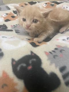 Click for full size picture - Arnold