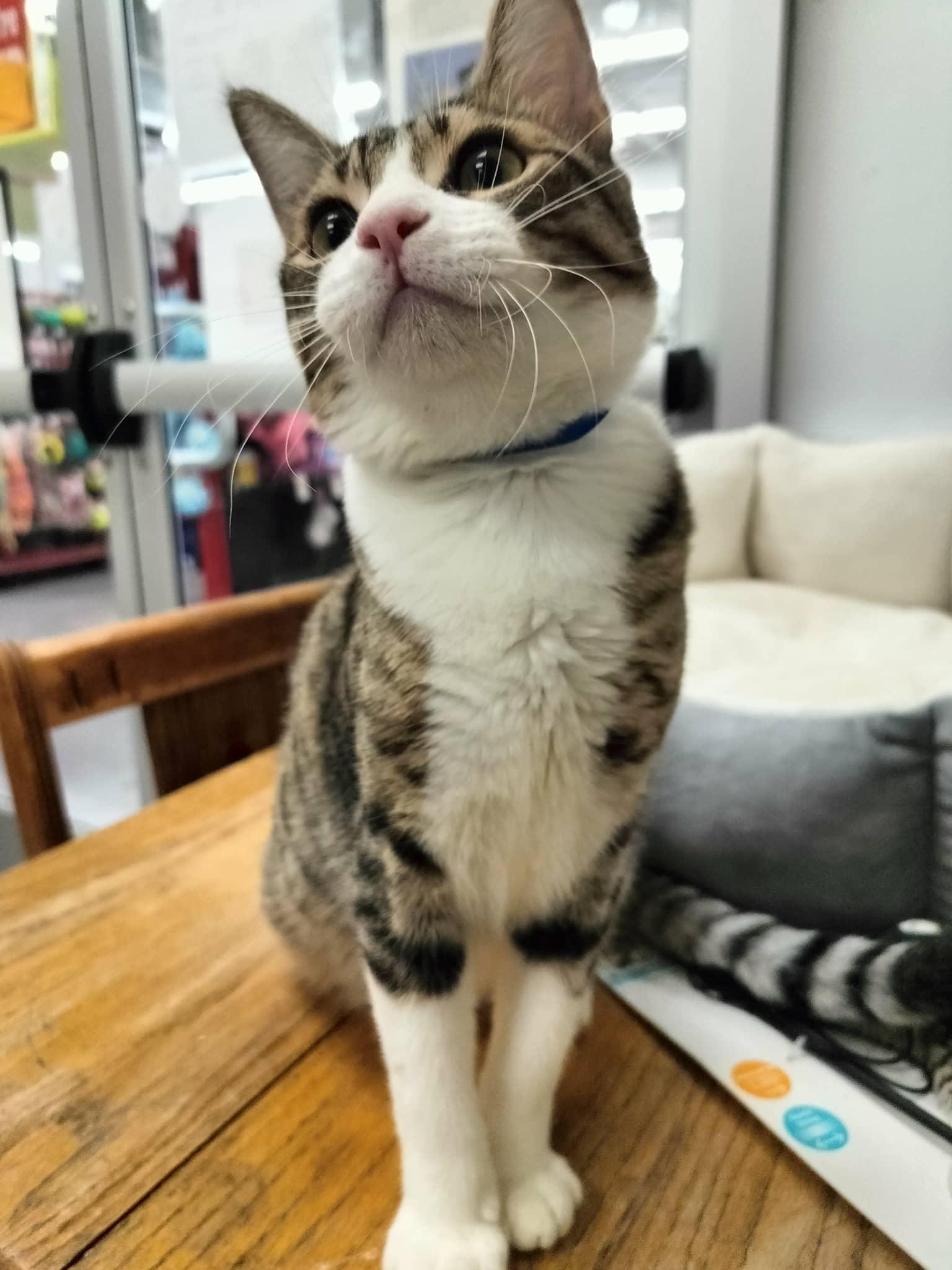 Click for full size picture - Kenny