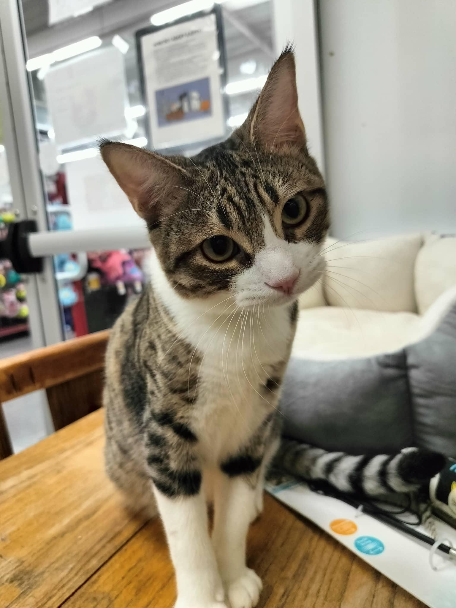 Click for full size picture - Kenny