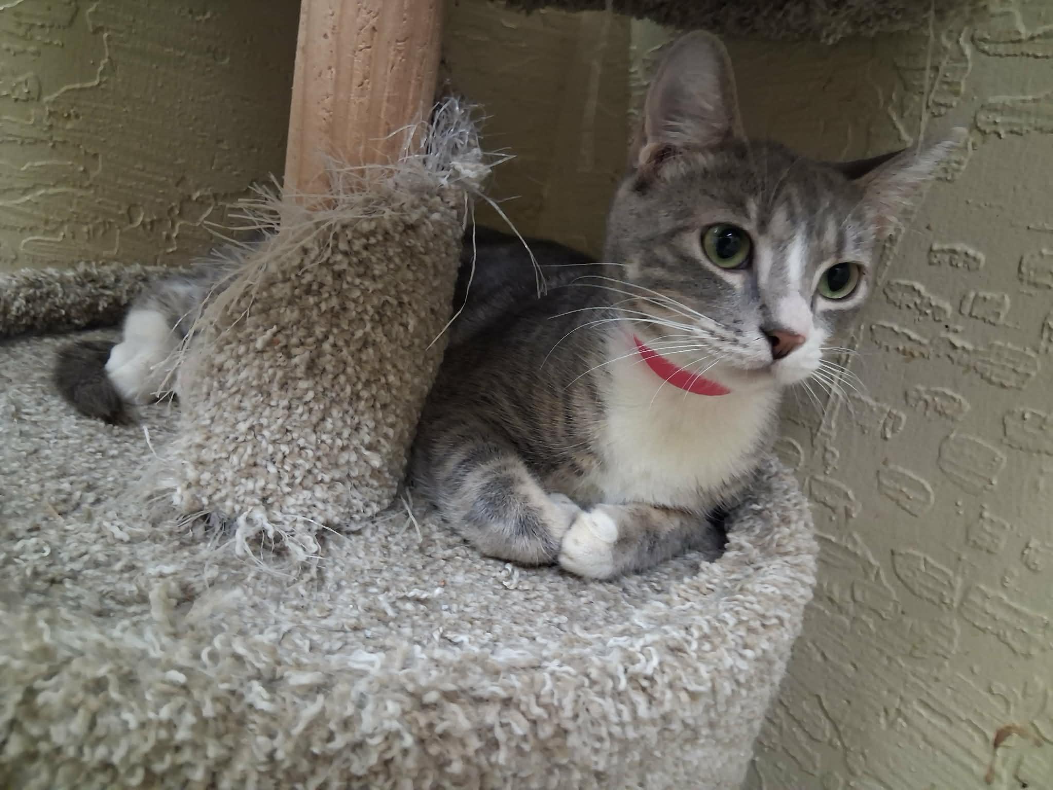 Click for full size picture - Edith