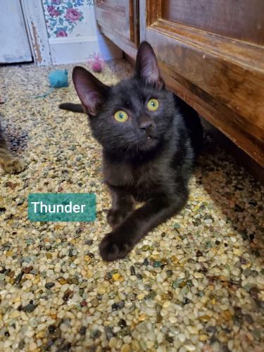 Thunder Thunder