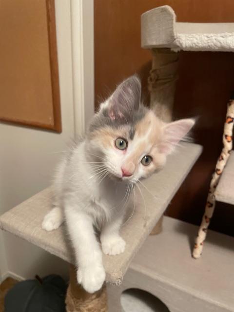 Click for full size picture - Miya