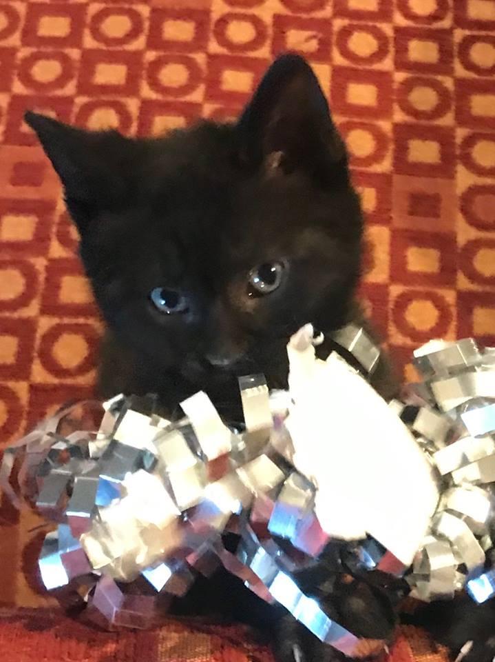 Dot Dot