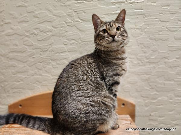 Click for full size picture - Octavia