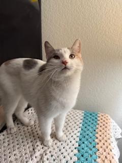 Penelope