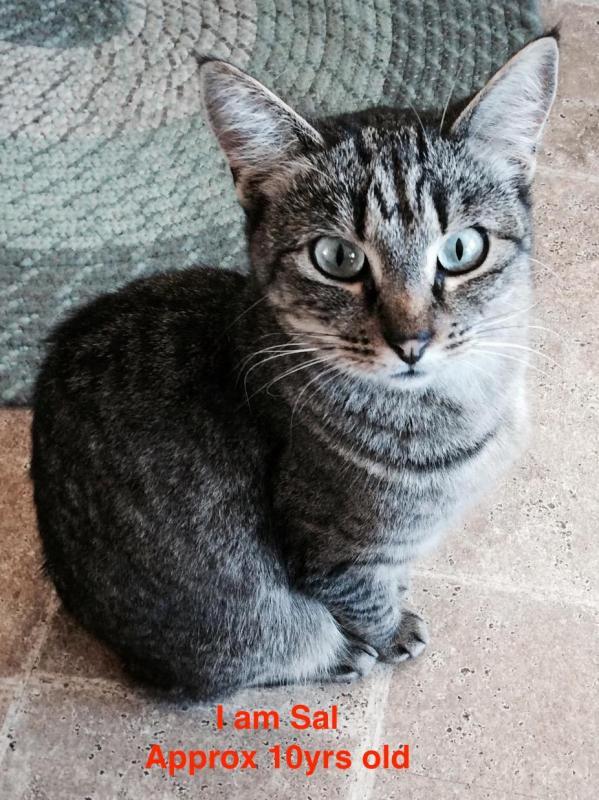 Sal